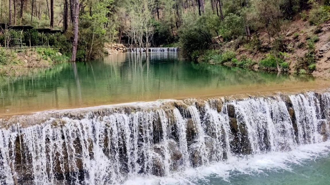 Yedigöze Orman Parkı Gezisi